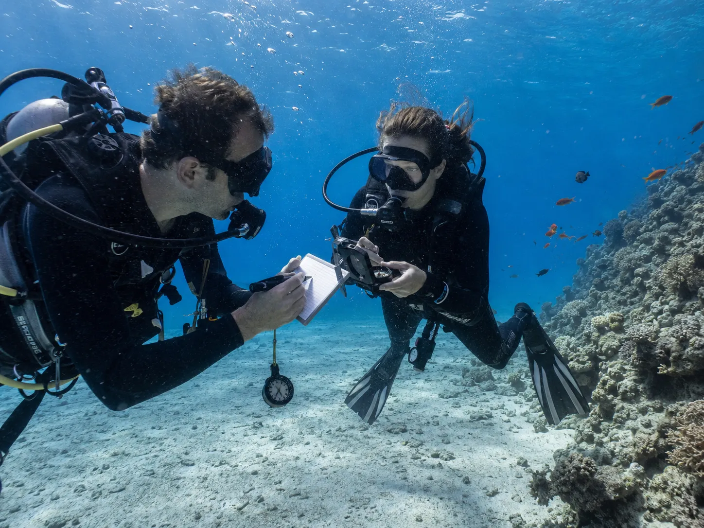 PADI Divemaster in Hurghada