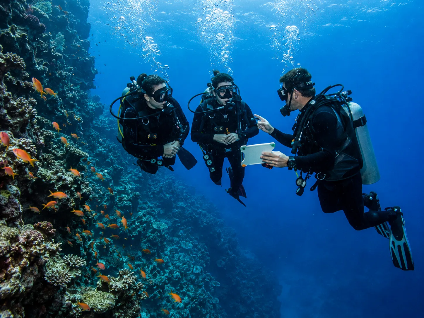 PADI course training in Hurghada