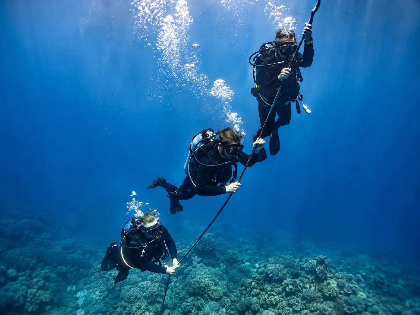 Divers descending a mooring line into blue Red Sea water