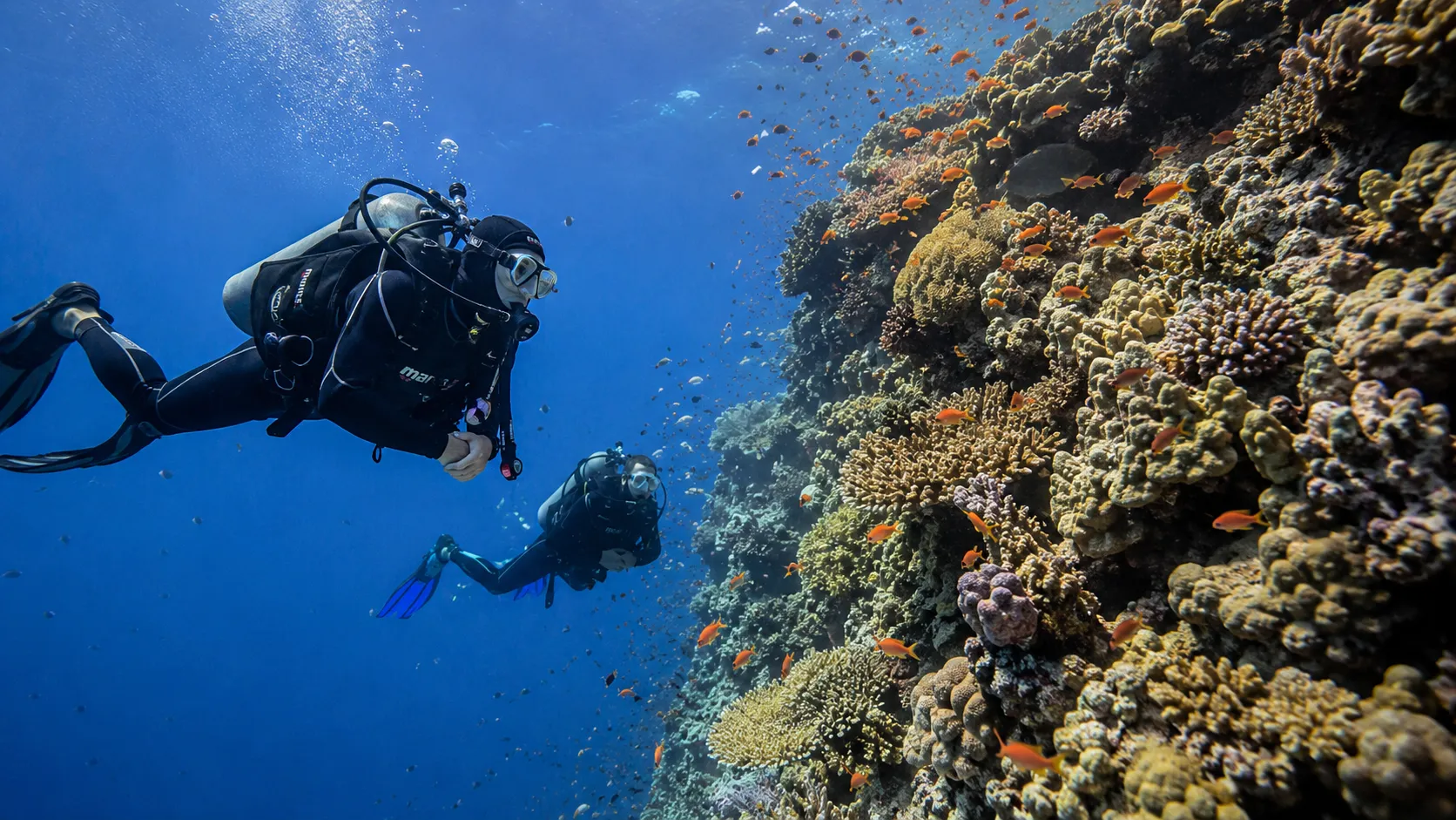 Gota Abu Ramada dive site, Red Sea