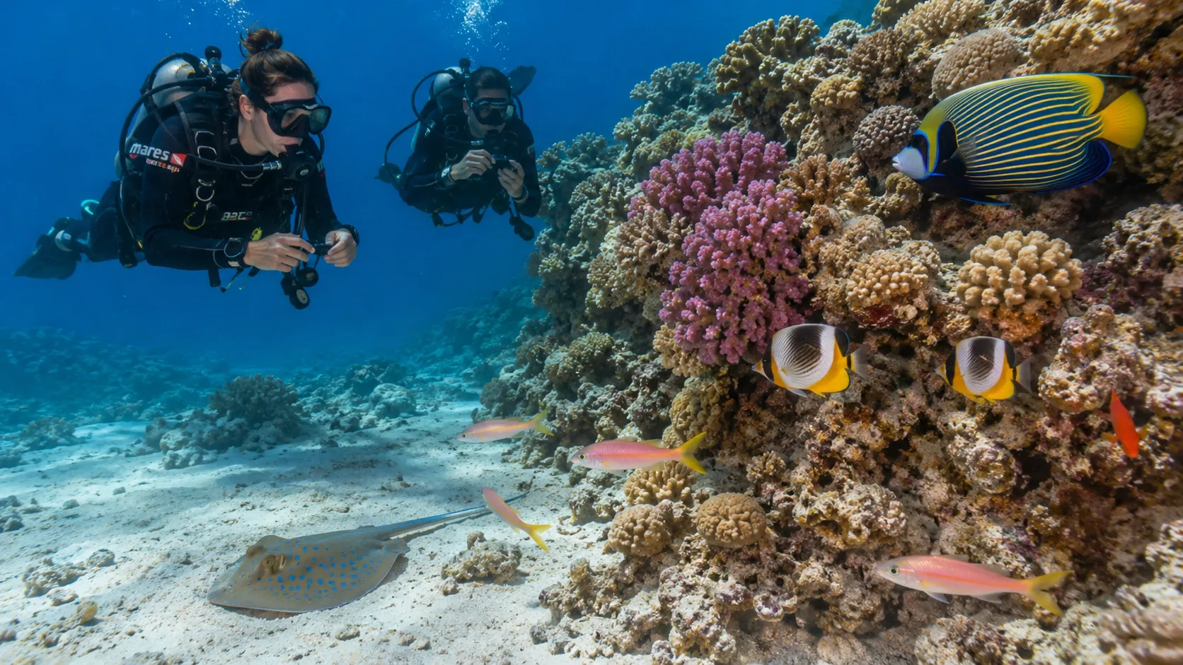 PADI Digital Underwater Photographer in Hurghada