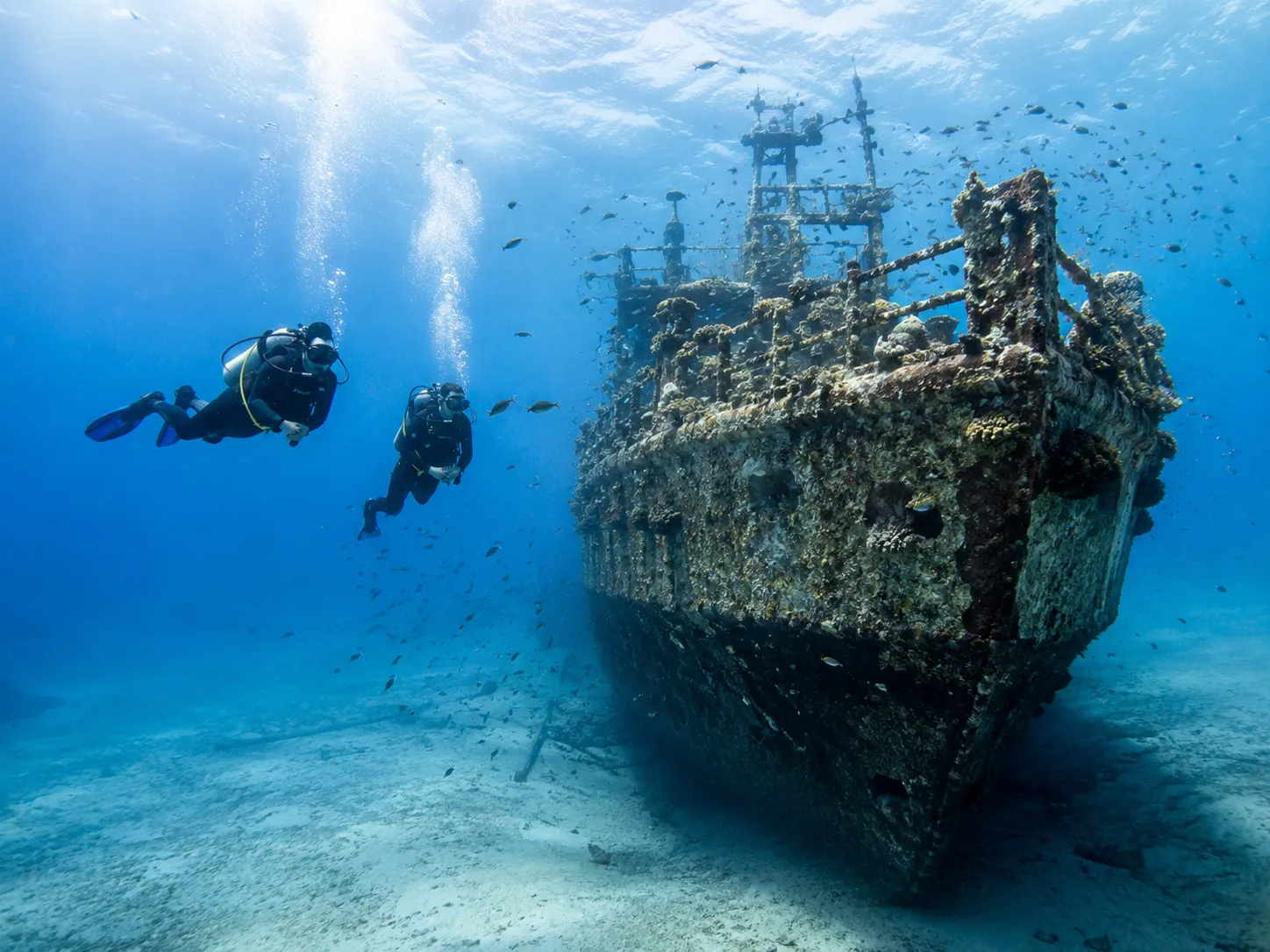 Divers exploring a Red Sea shipwreck