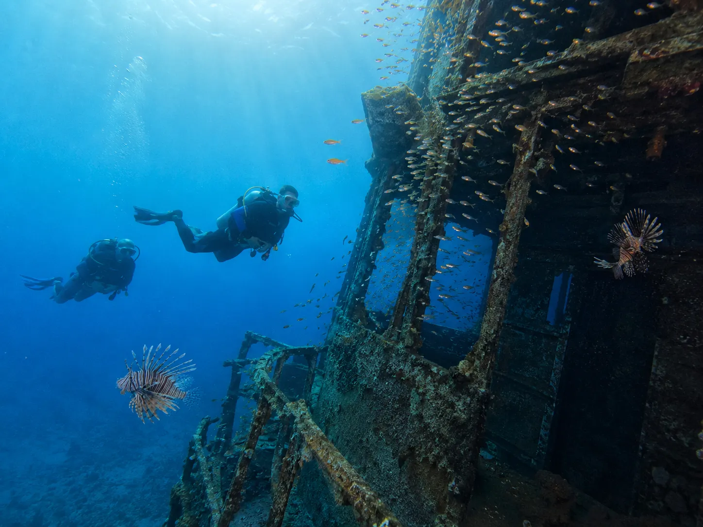 SS Thistlegorm wreck dive in the Red Sea